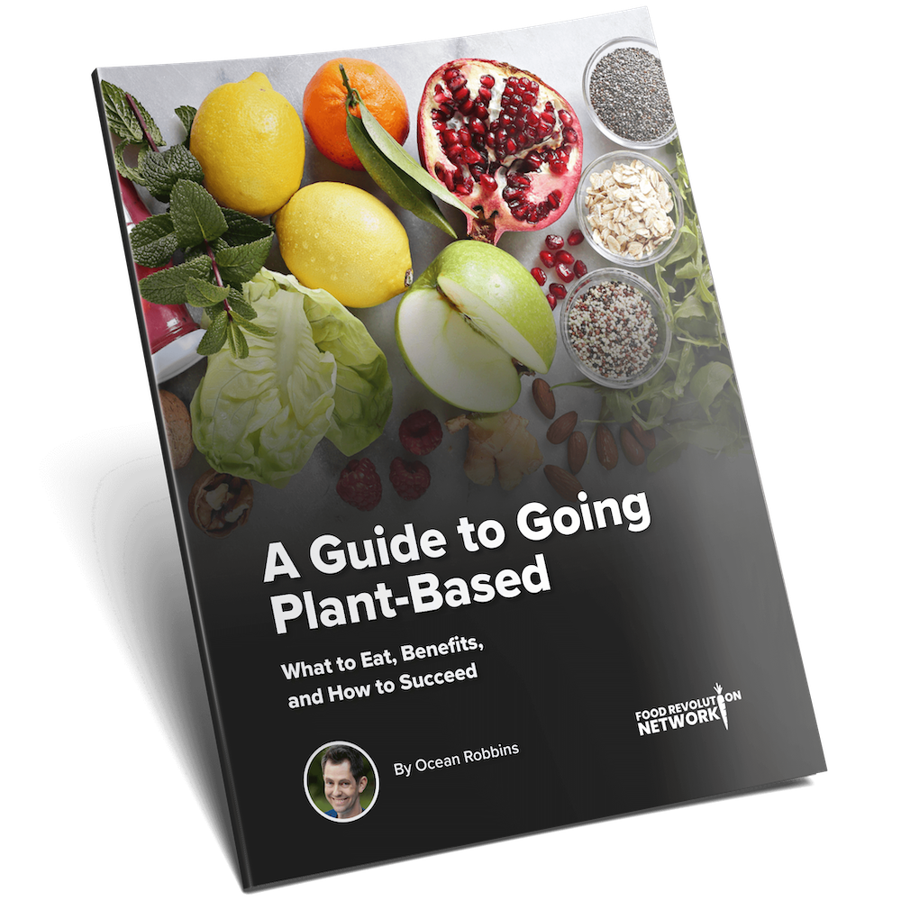 FRN_2024_Guide to Going Plant-Based 