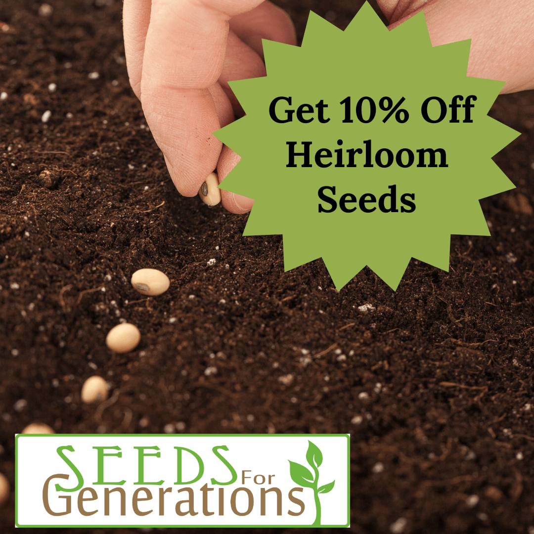 10% Off Seeds