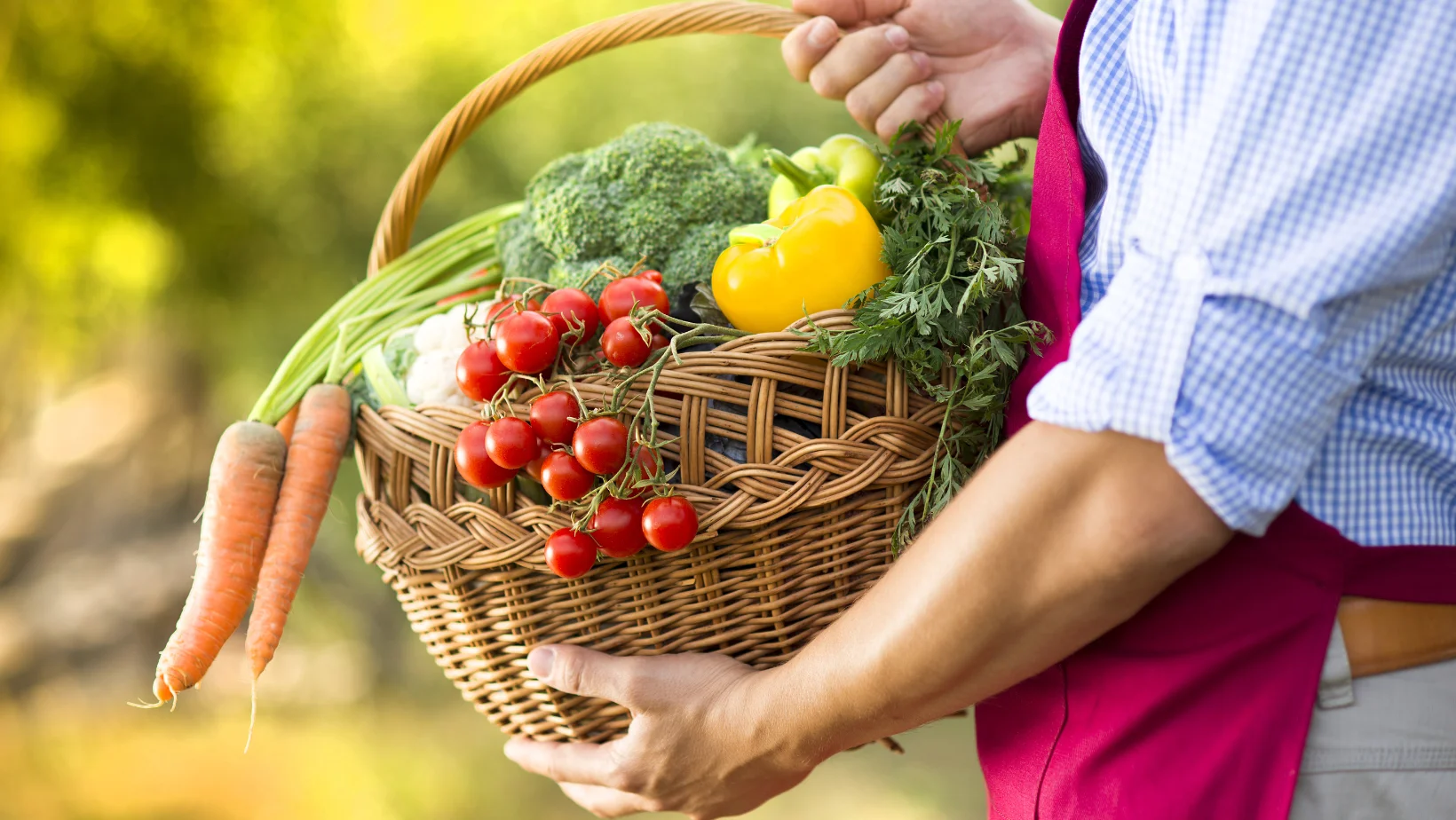 Person holding a basket of fresh picked veggies