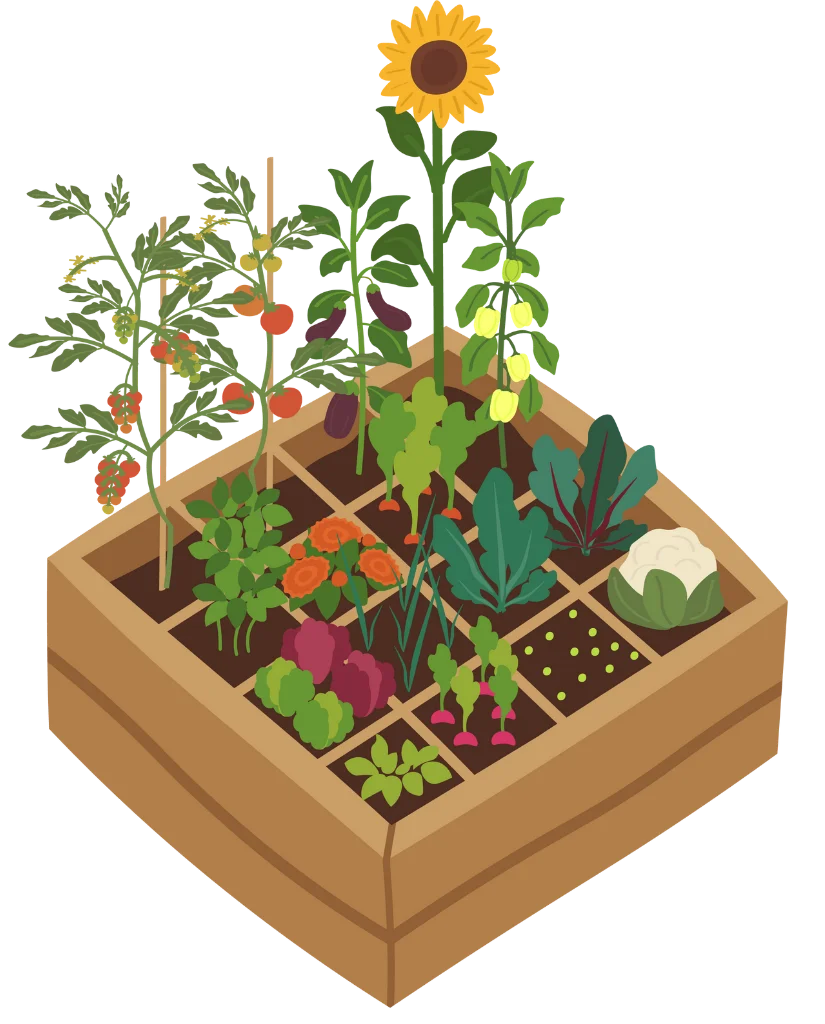 Cartoon of a raised bed growing veggies and flowers