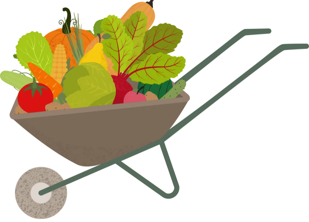 Wheel Barrow full of fresh picked veggies