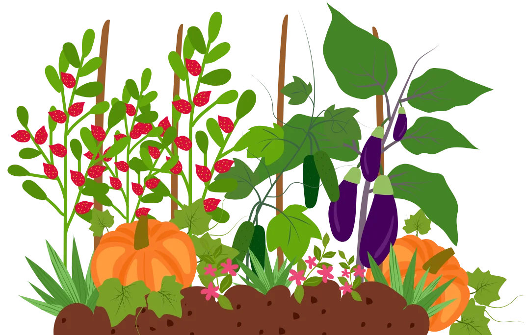 Growing Garden in Soil