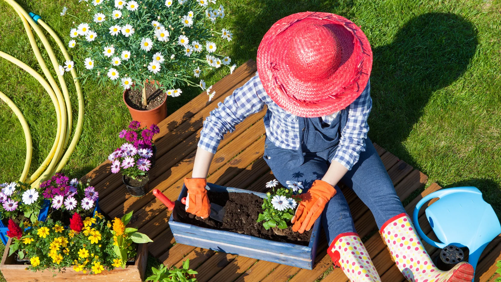 Person in a red hat gardening