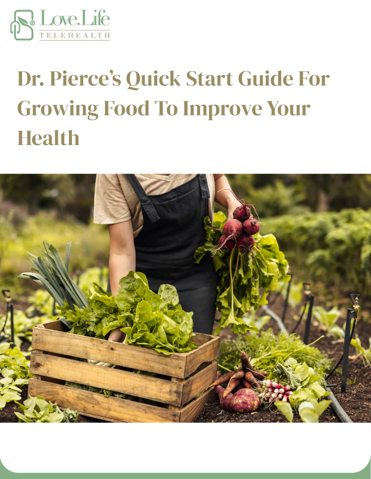Dr. Pierce: Quick Start Guide